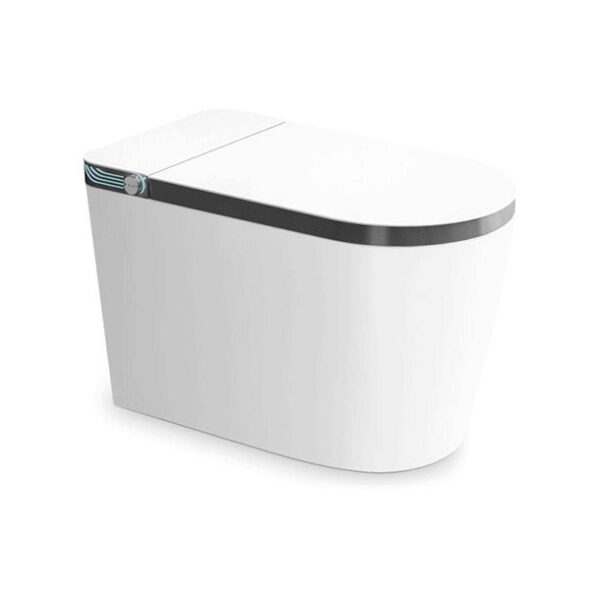 All-In-One Smart Toilet (Automatic Flip Seat Cover)